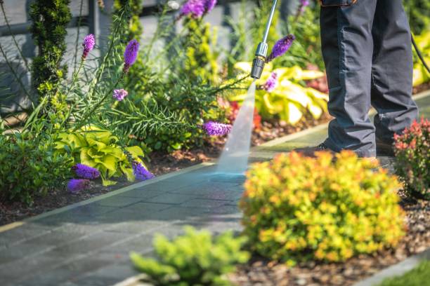 Best Restaurant Pressure Washing  in Tolono, IL